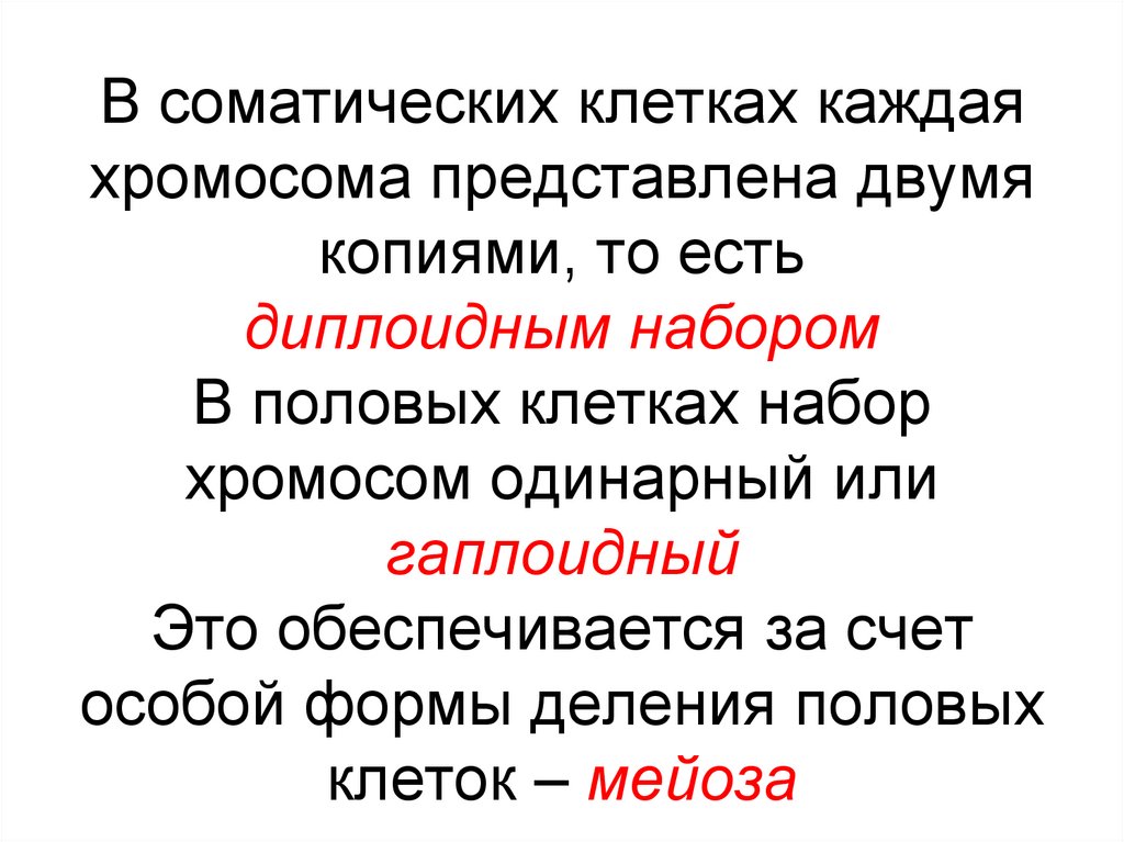 В соматических клетках каждая хромосома представлена двумя копиями, то есть диплоидным набором В половых клетках набор хромосом