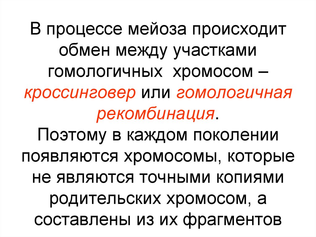 В процессе мейоза происходит обмен между участками гомологичных хромосом – кроссинговер или гомологичная рекомбинация. Поэтому