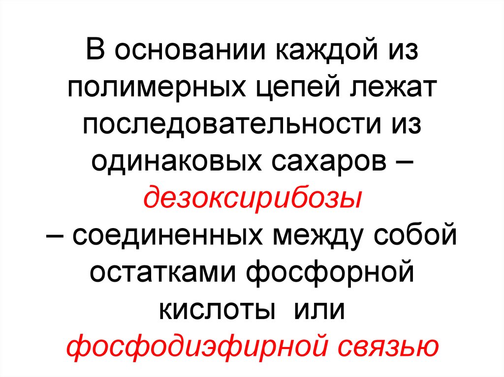В основании каждой из полимерных цепей лежат последовательности из одинаковых сахаров –дезоксирибозы – соединенных между собой