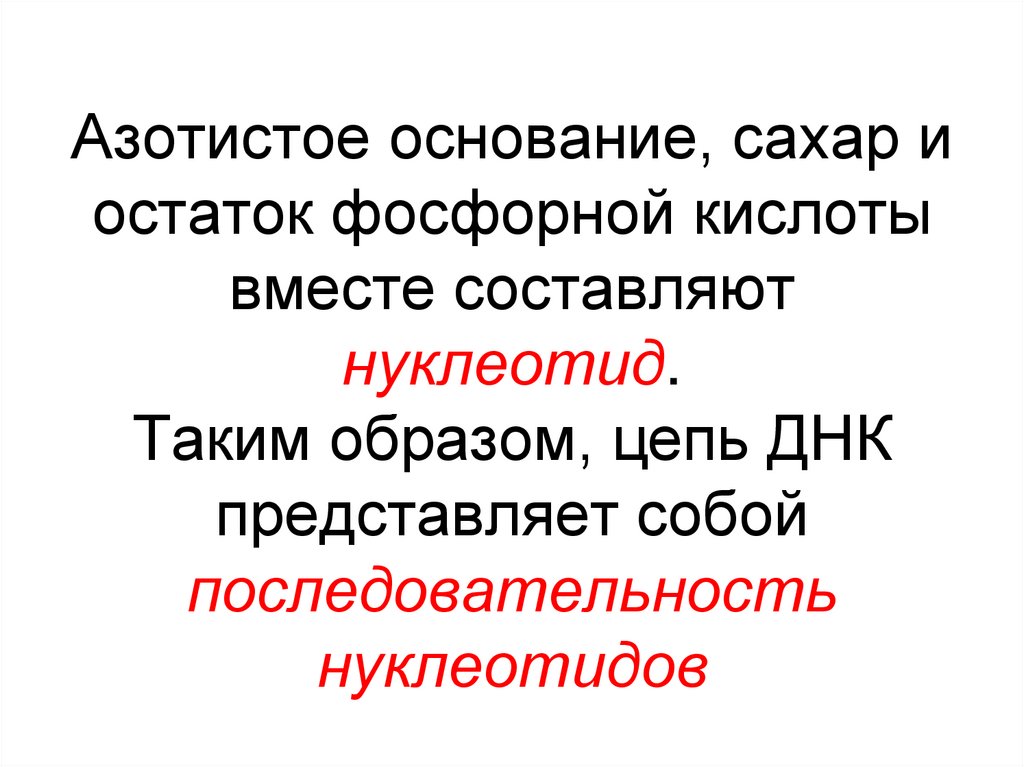 Азотистое основание, сахар и остаток фосфорной кислоты вместе составляют нуклеотид. Таким образом, цепь ДНК представляет собой