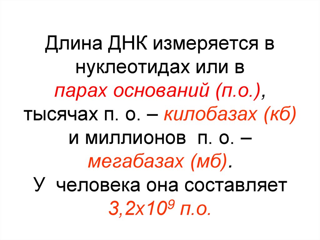 Длина ДНК измеряется в нуклеотидах или в парах оснований (п.о.), тысячах п. о. – килобазах (кб) и миллионов п. о. – мегабазах