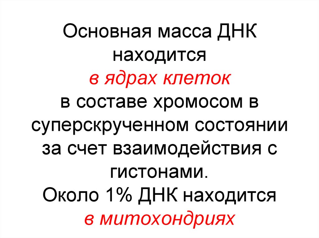 Основная масса ДНК находится в ядрах клеток в составе хромосом в суперскрученном состоянии за счет взаимодействия с гистонами.