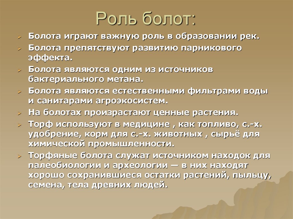 Роль болот: