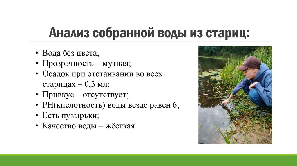 Анализ собранной воды из стариц: