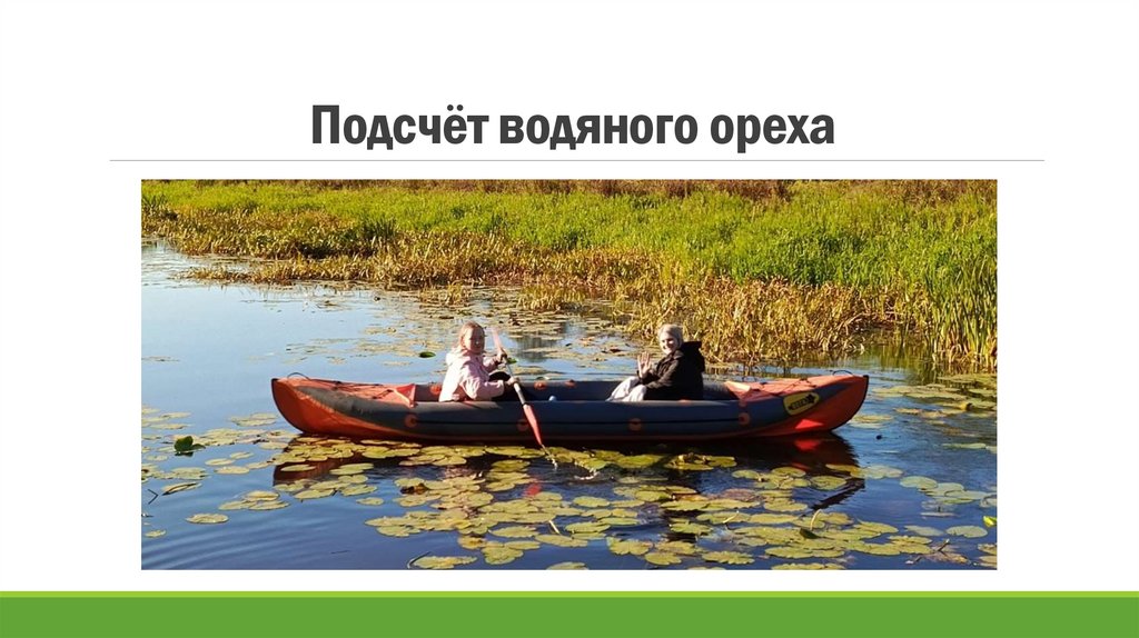 Подсчёт водяного ореха