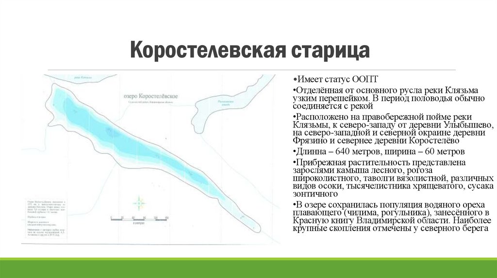 Коростелевская старица