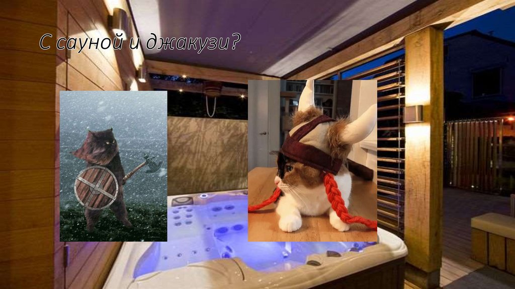 С сауной и джакузи?
