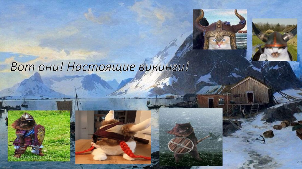 Вот они! Настоящие викинги!