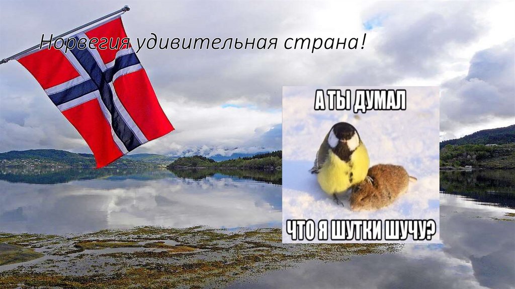 Норвегия удивительная страна!