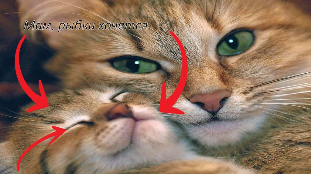 Мам, рыбки хочется