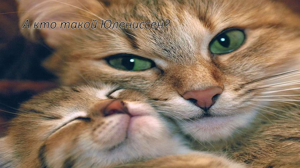 А кто такой Юлениссен?