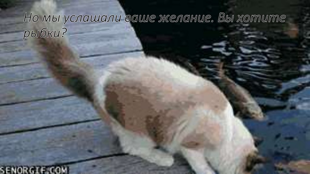 Но мы услашали ваше желание. Вы хотите рыбки?