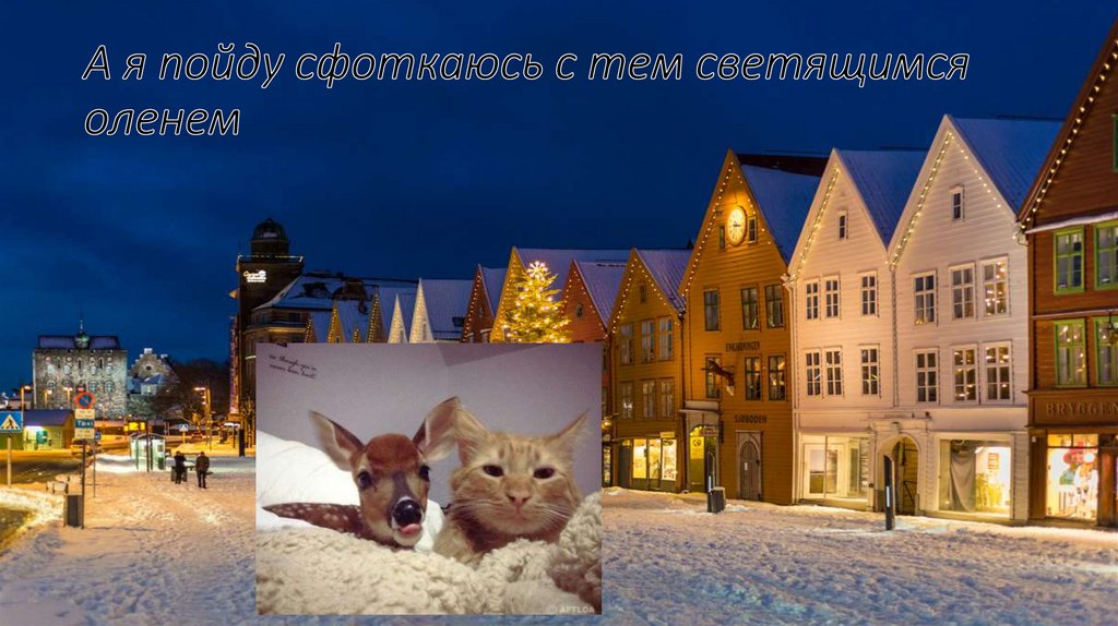 А я пойду сфоткаюсь с тем светящимся оленем
