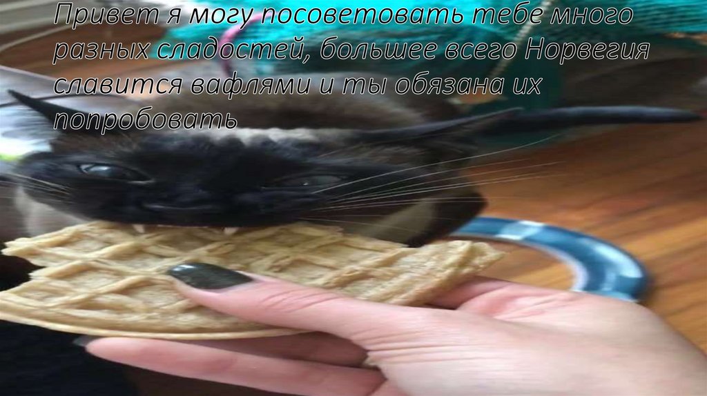 Привет я могу посоветовать тебе много разных сладостей, большее всего Норвегия славится вафлями и ты обязана их попробовать