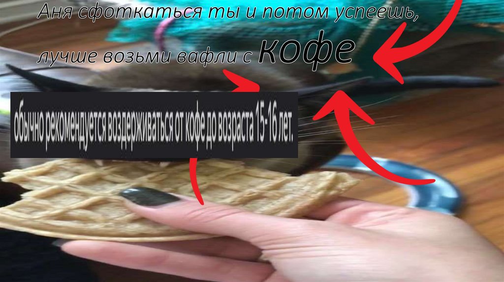 Аня сфоткаться ты и потом успеешь, лучше возьми вафли с кофе
