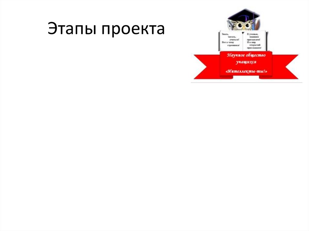 Этапы проекта