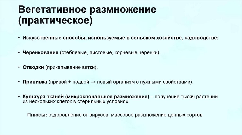 Вегетативное размножение (практическое)