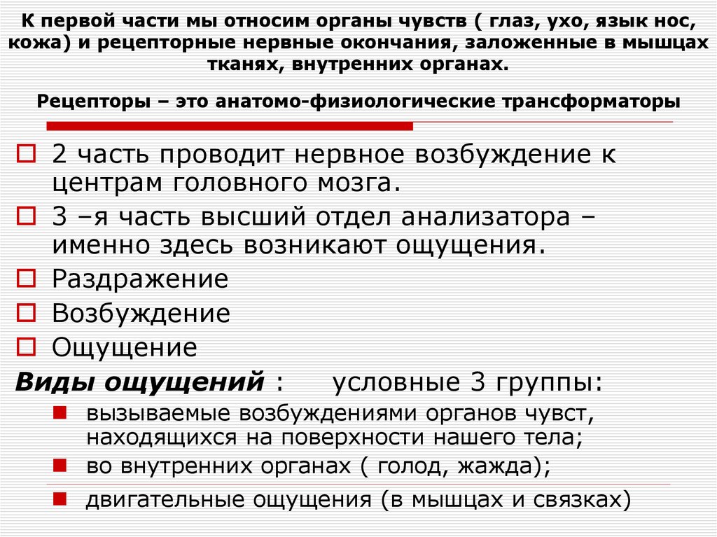 К первой части мы относим органы чувств ( глаз, ухо, язык нос, кожа) и рецепторные нервные окончания, заложенные в мышцах