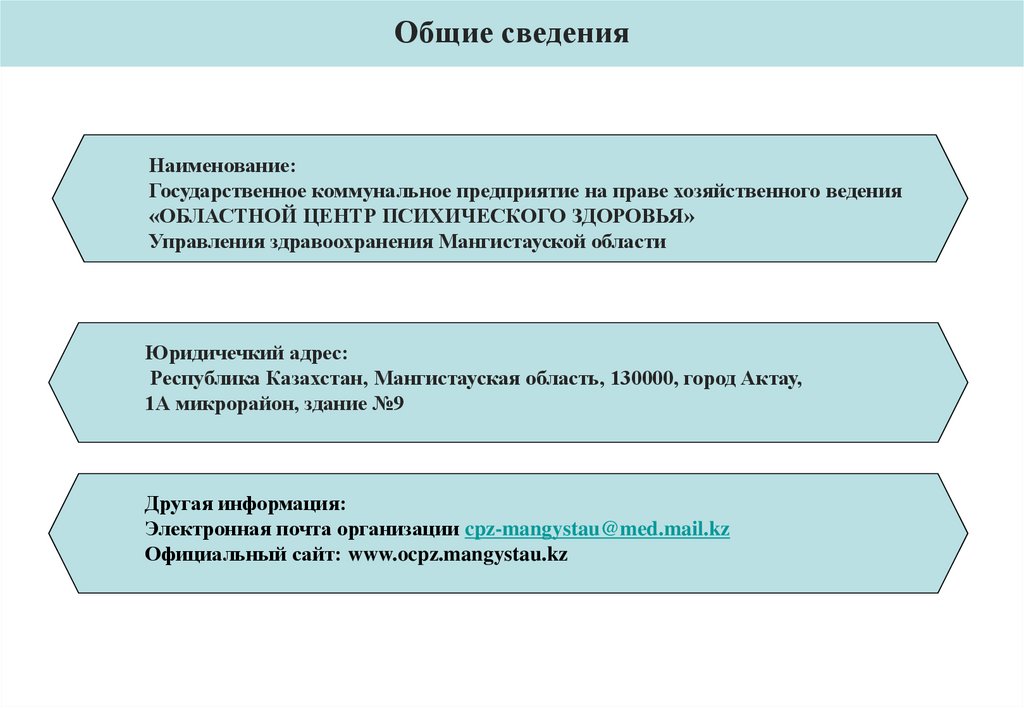 Общие сведения