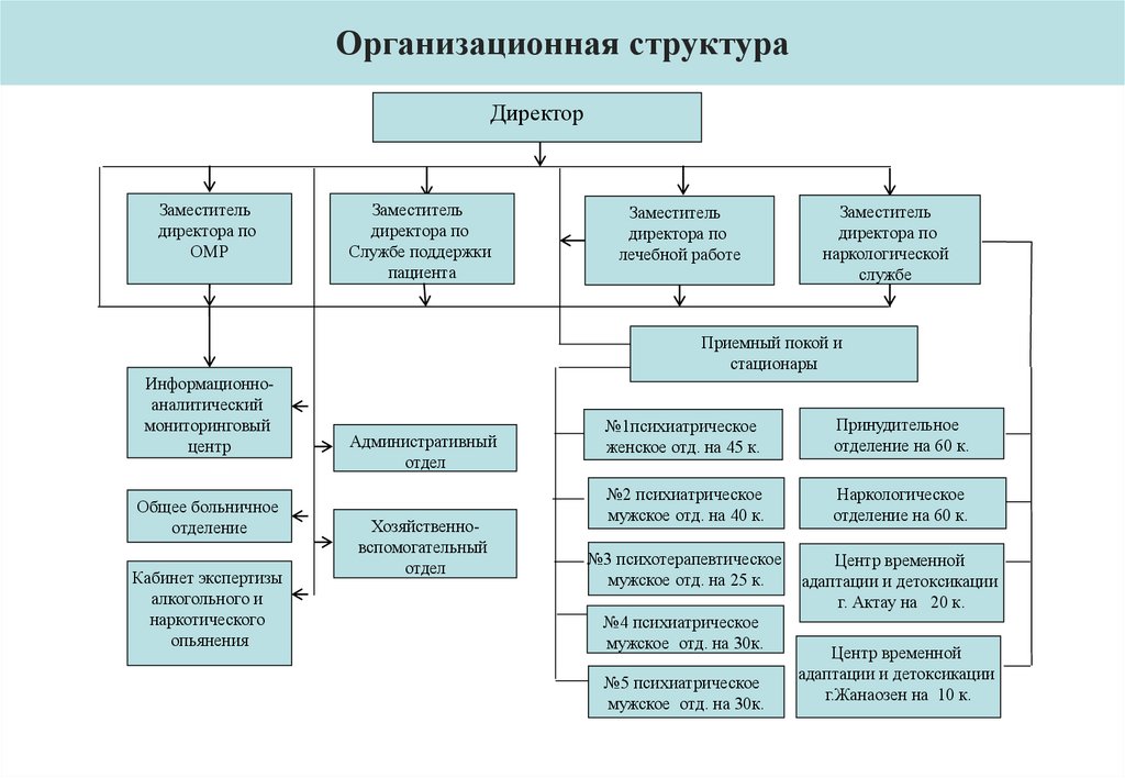 Организационная структура