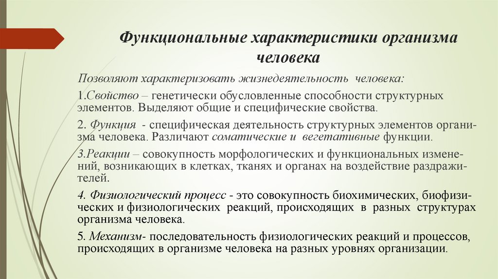 Функциональные характеристики организма человека