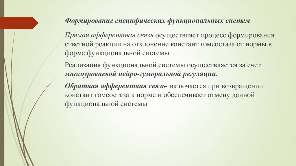 Формирование специфических функциональных систем