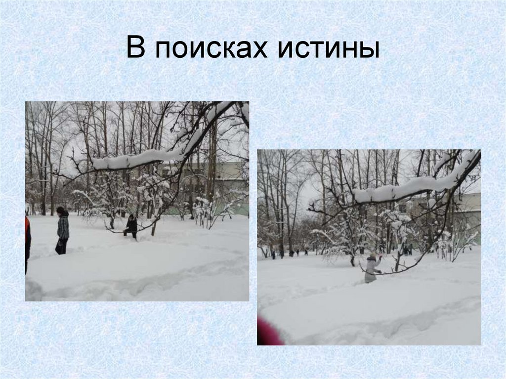 В поисках истины