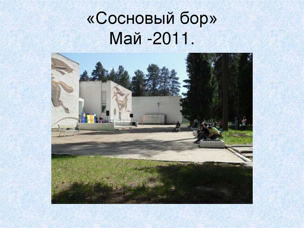 «Сосновый бор» Май -2011.
