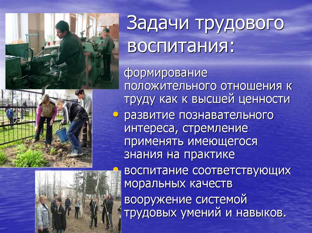 Задачи трудового воспитания: