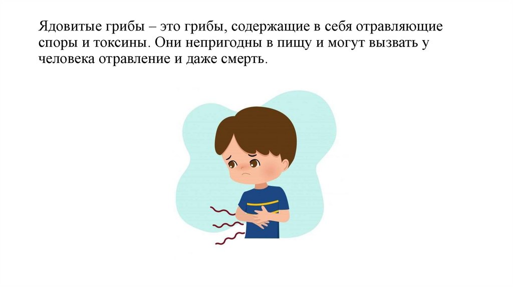 Ядовитые грибы – это грибы, содержащие в себя отравляющие споры и токсины. Они непригодны в пищу и могут вызвать у человека