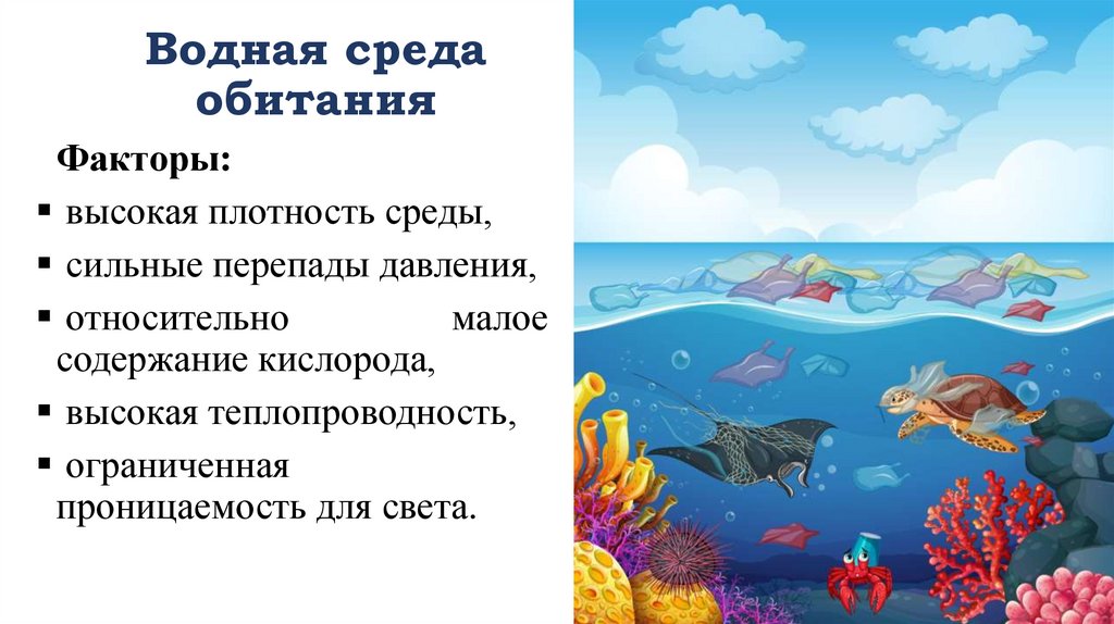 Водная среда обитания