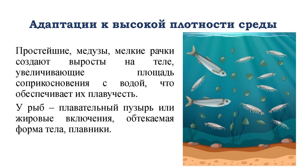 Адаптации к высокой плотности среды
