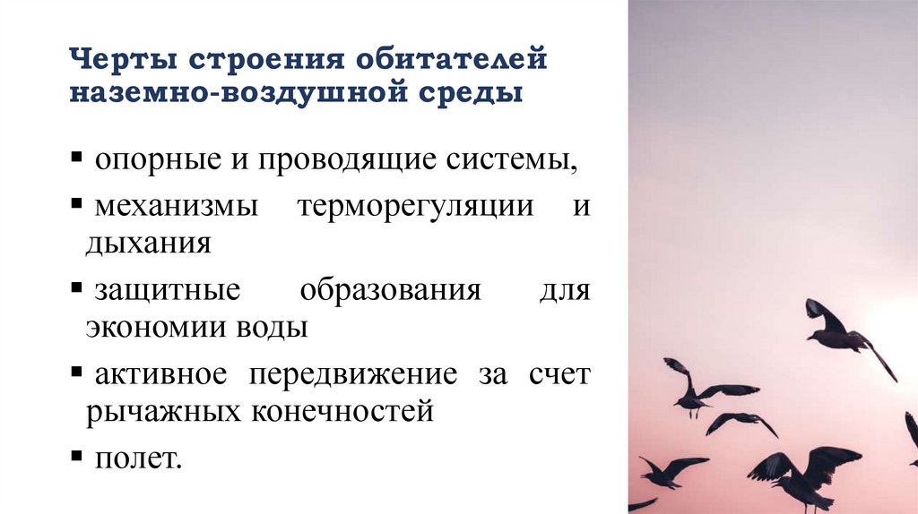 Черты строения обитателей наземно-воздушной среды