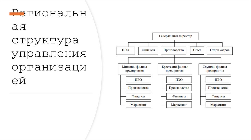Региональная структура управления организацией