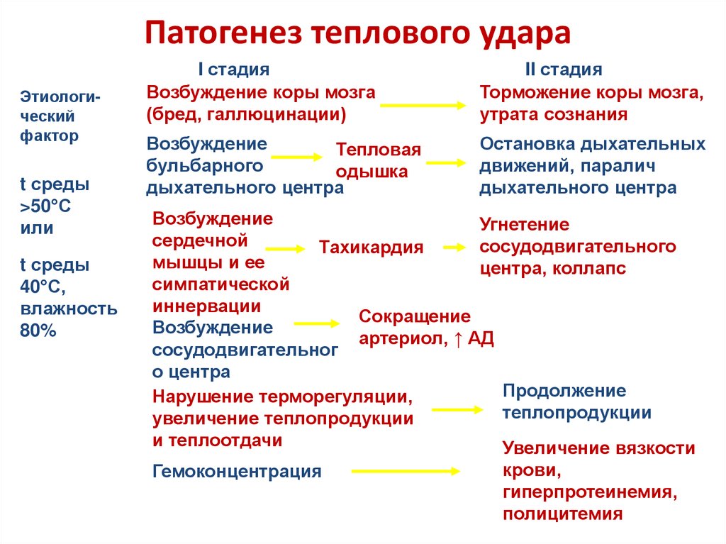 Патогенез теплового удара
