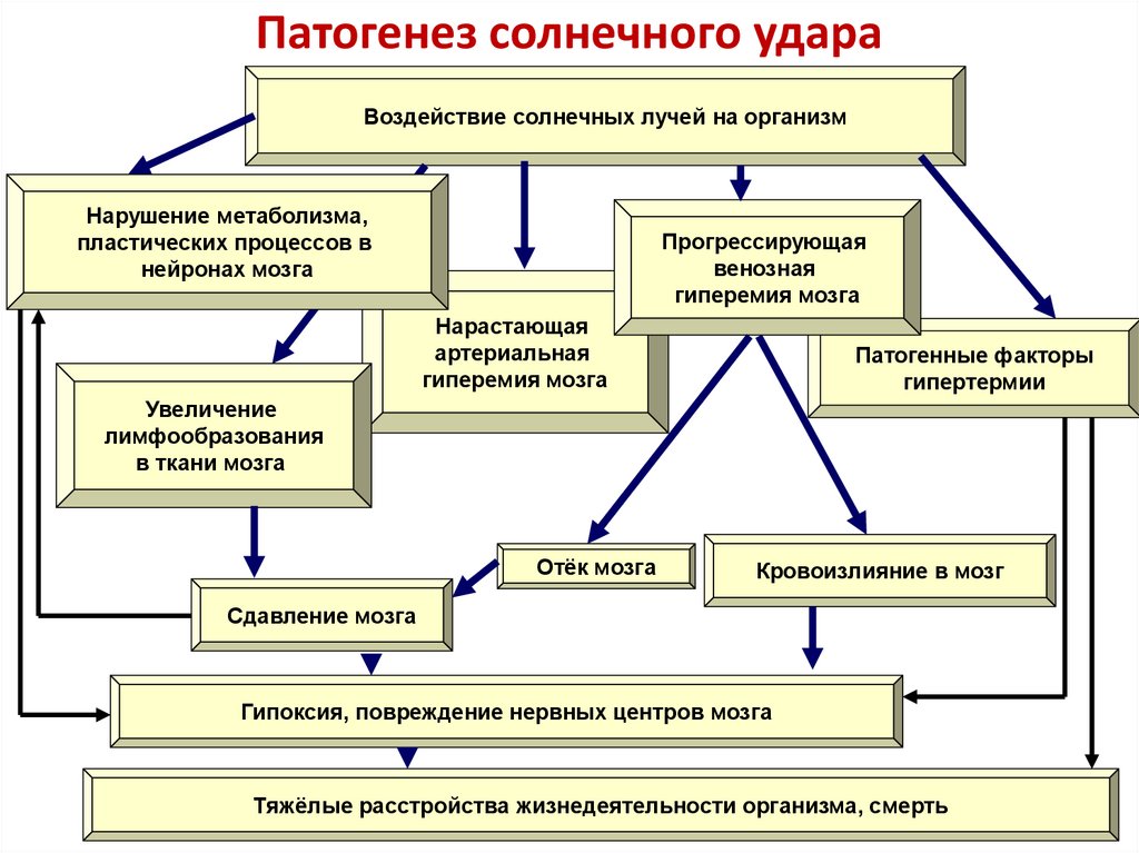 Патогенез солнечного удара