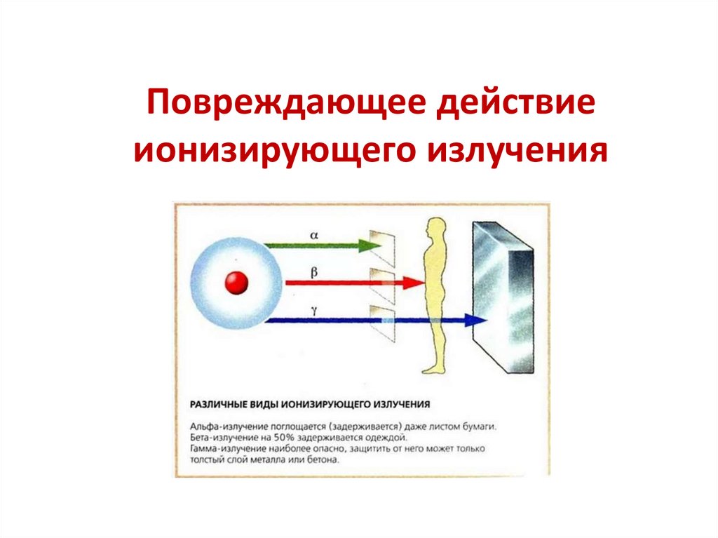 Повреждающее действие ионизирующего излучения