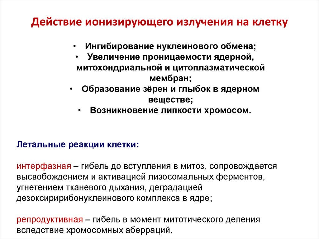 Действие ионизирующего излучения на клетку