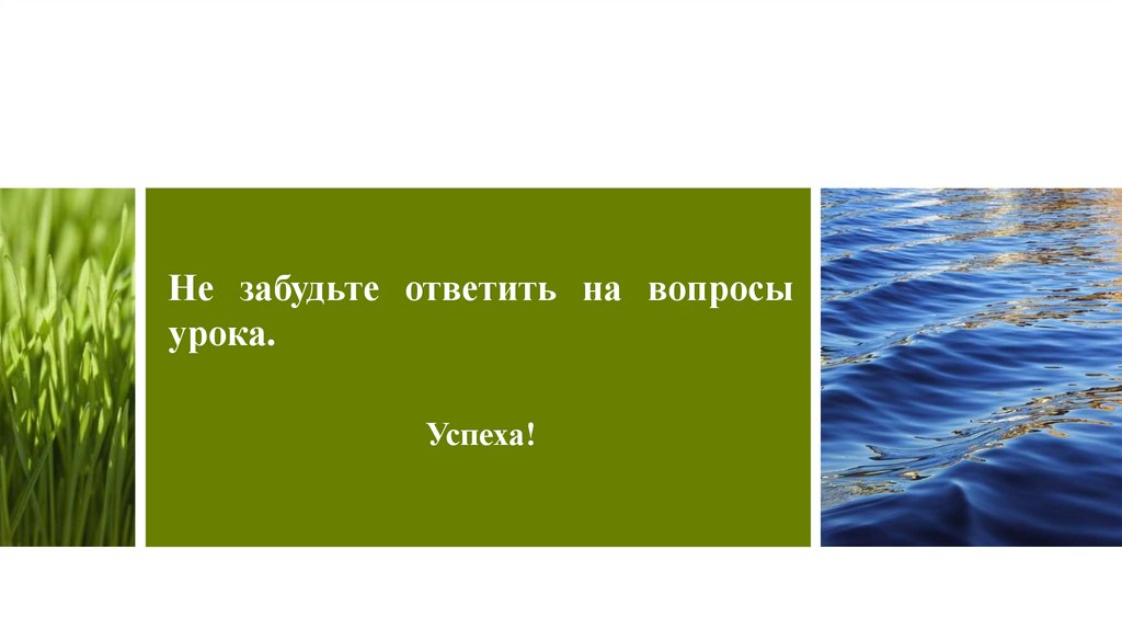 Не забудьте ответить на вопросы урока.