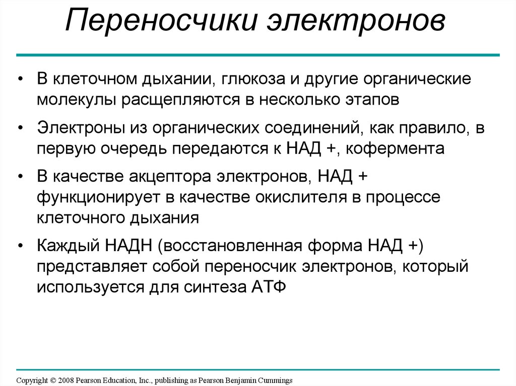 Переносчики электронов