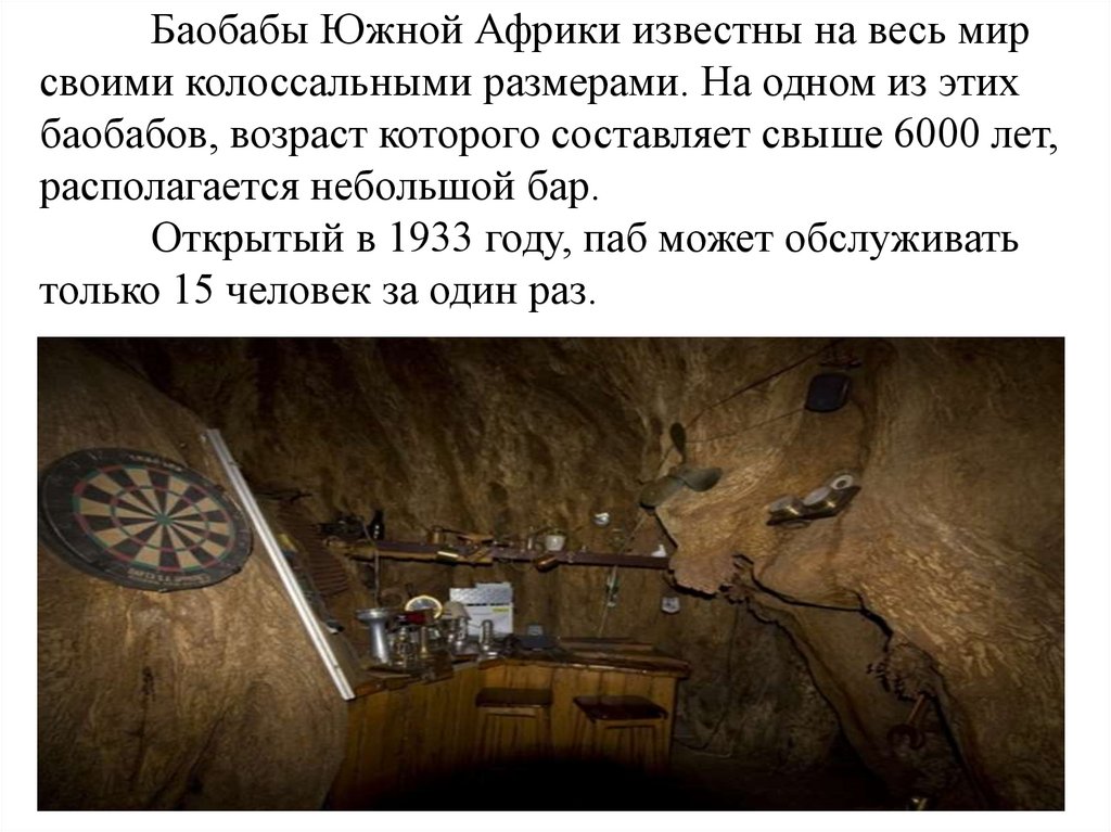 Баобабы Южной Африки известны на весь мир своими колоссальными размерами. На одном из этих баобабов, возраст которого