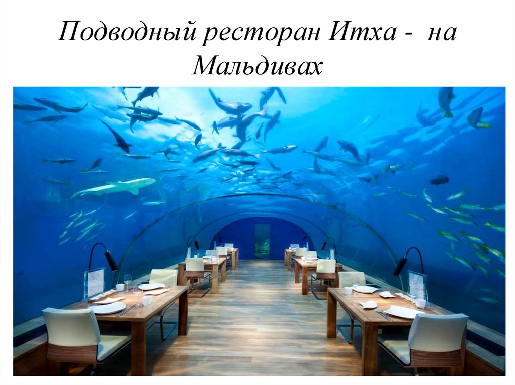Подводный ресторан Итха - на Мальдивах