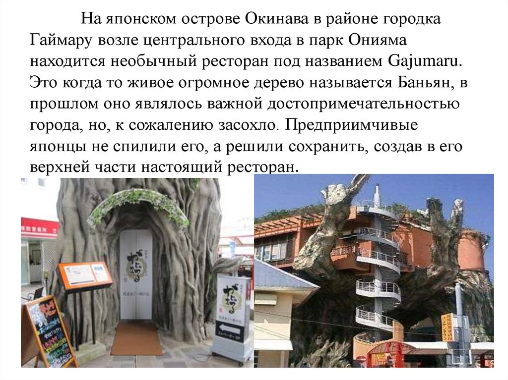 На японском острове Окинава в районе городка Гаймару возле центрального входа в парк Онияма находится необычный ресторан под