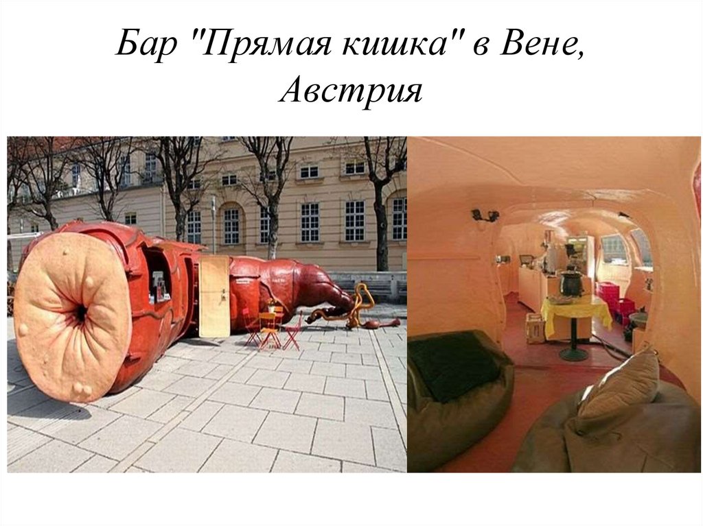 Бар "Прямая кишка" в Вене, Австрия