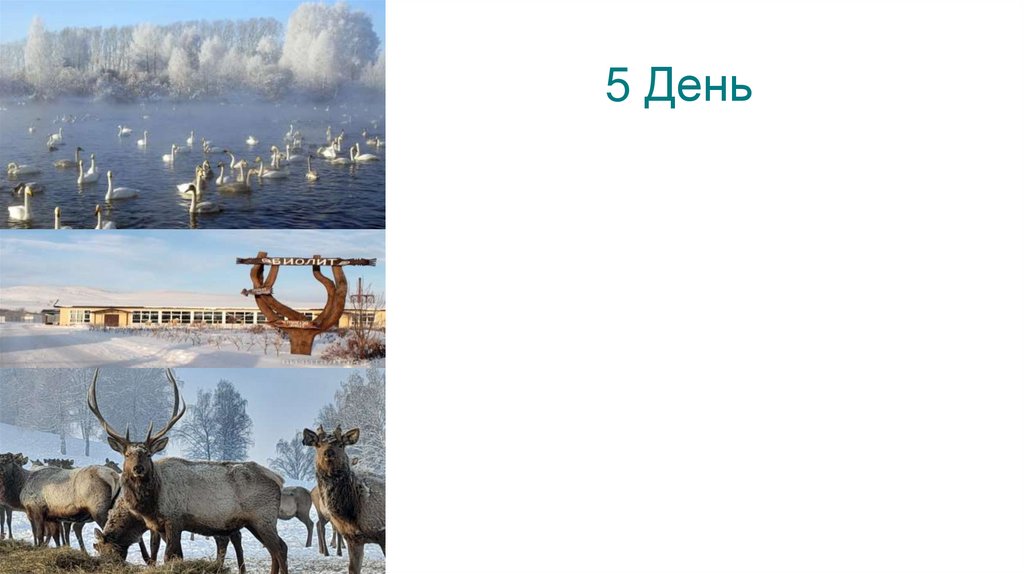5 День
