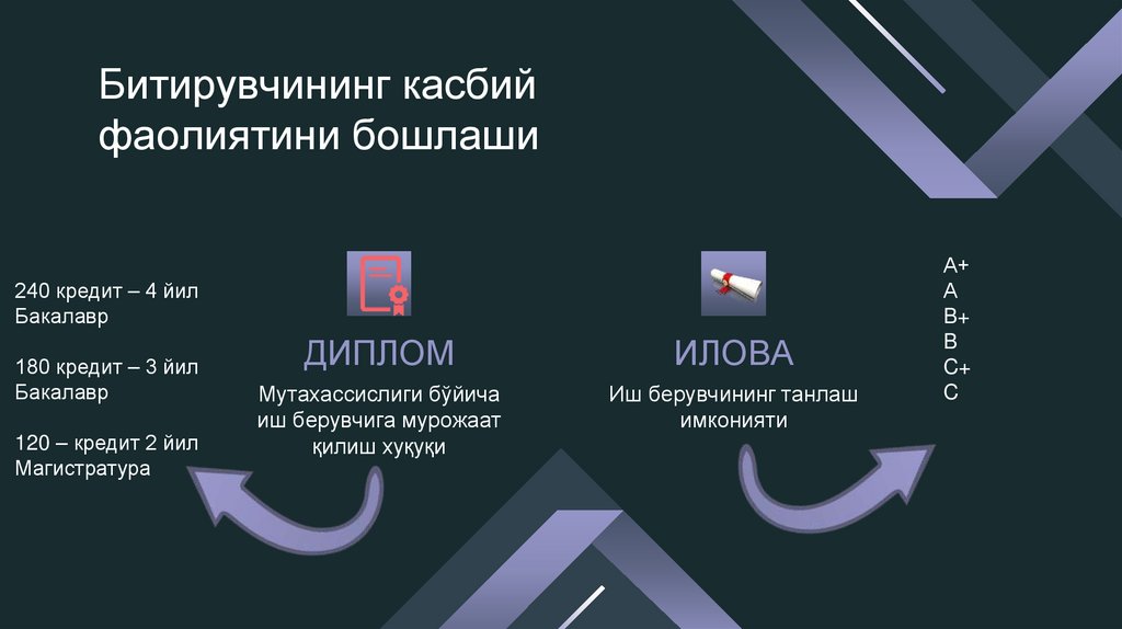 Битирувчининг касбий фаолиятини бошлаши