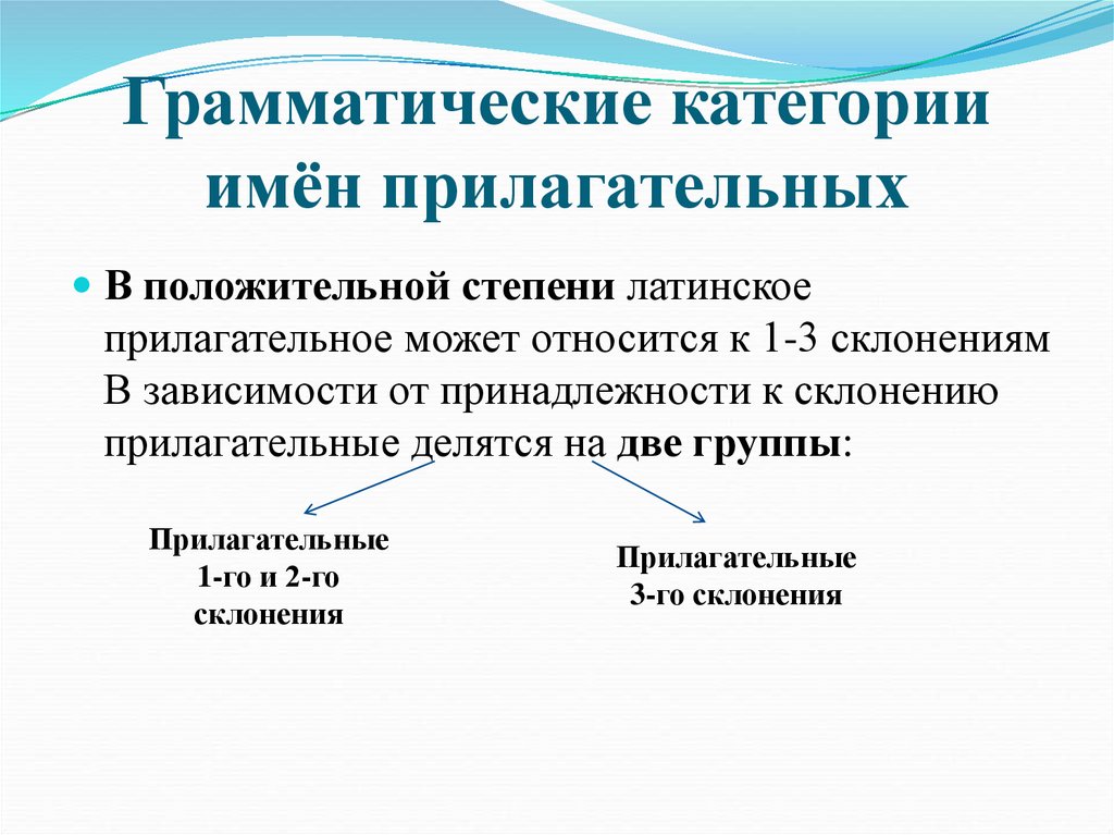 Грамматические категории имён прилагательных