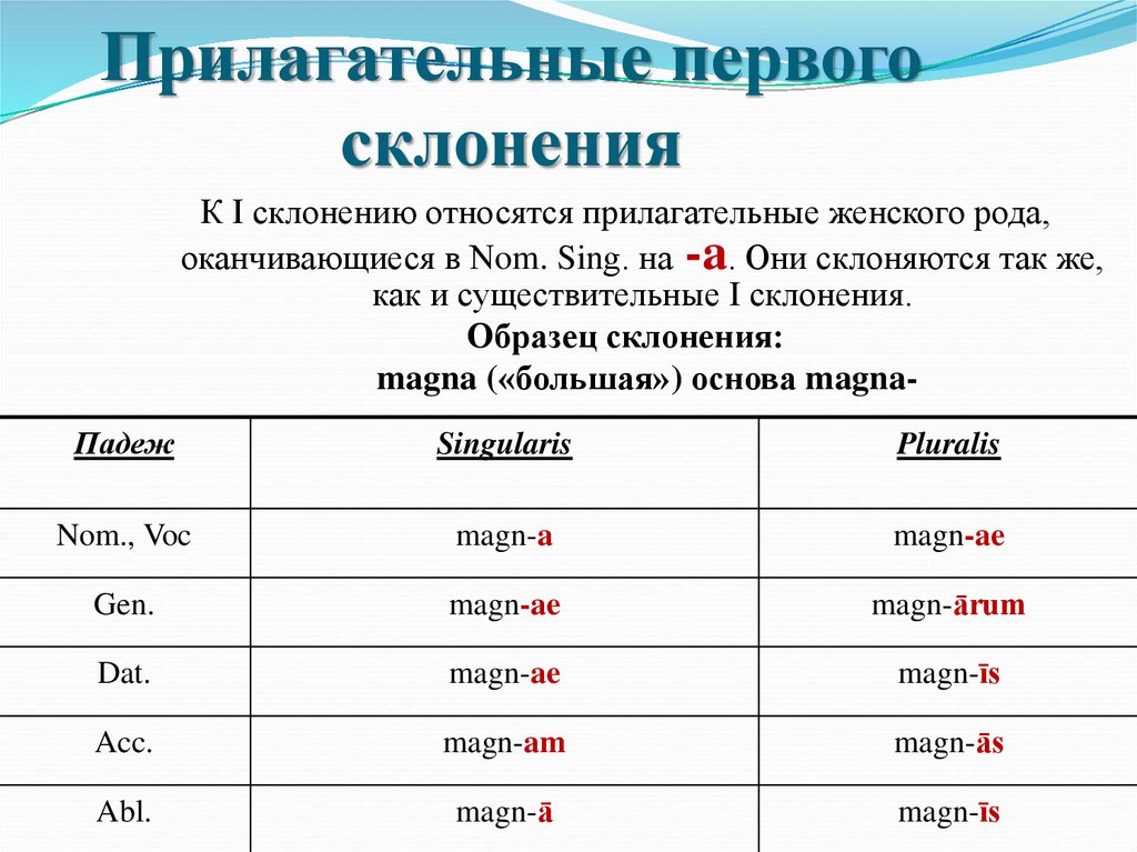 Прилагательные первого склонения