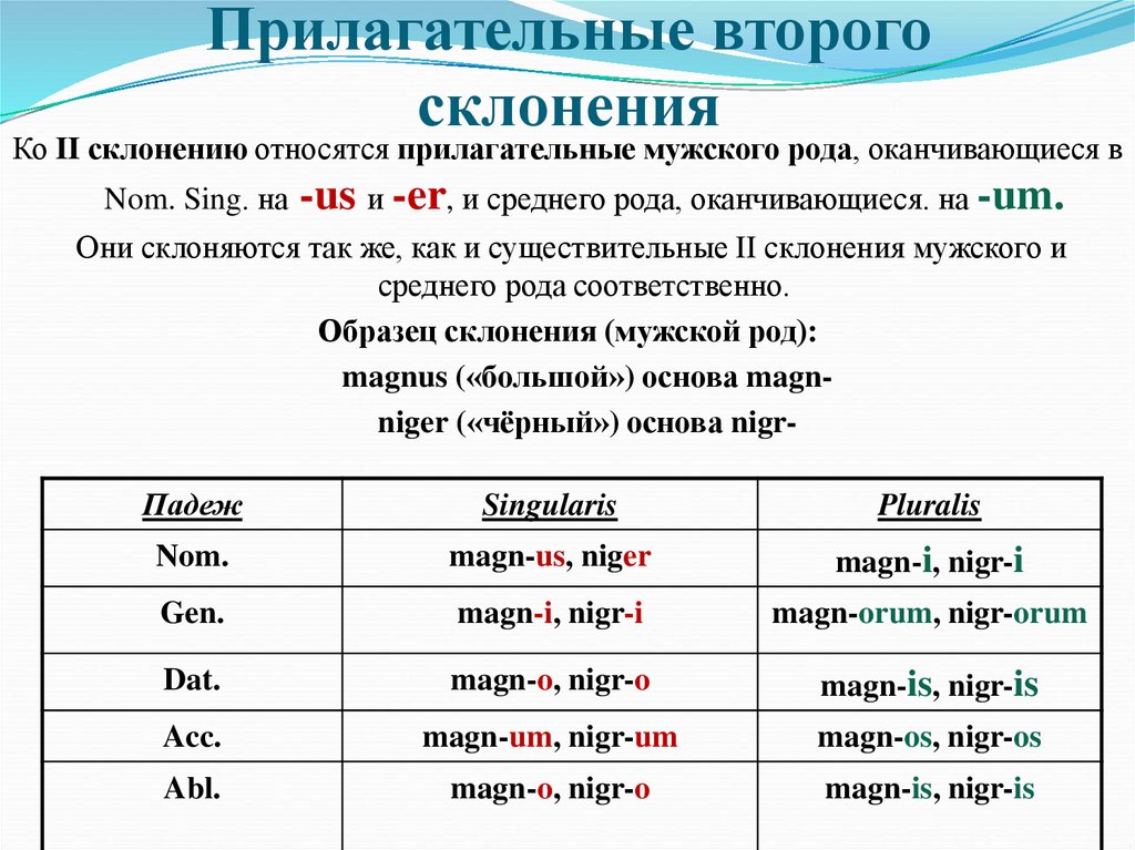 Прилагательные второго склонения