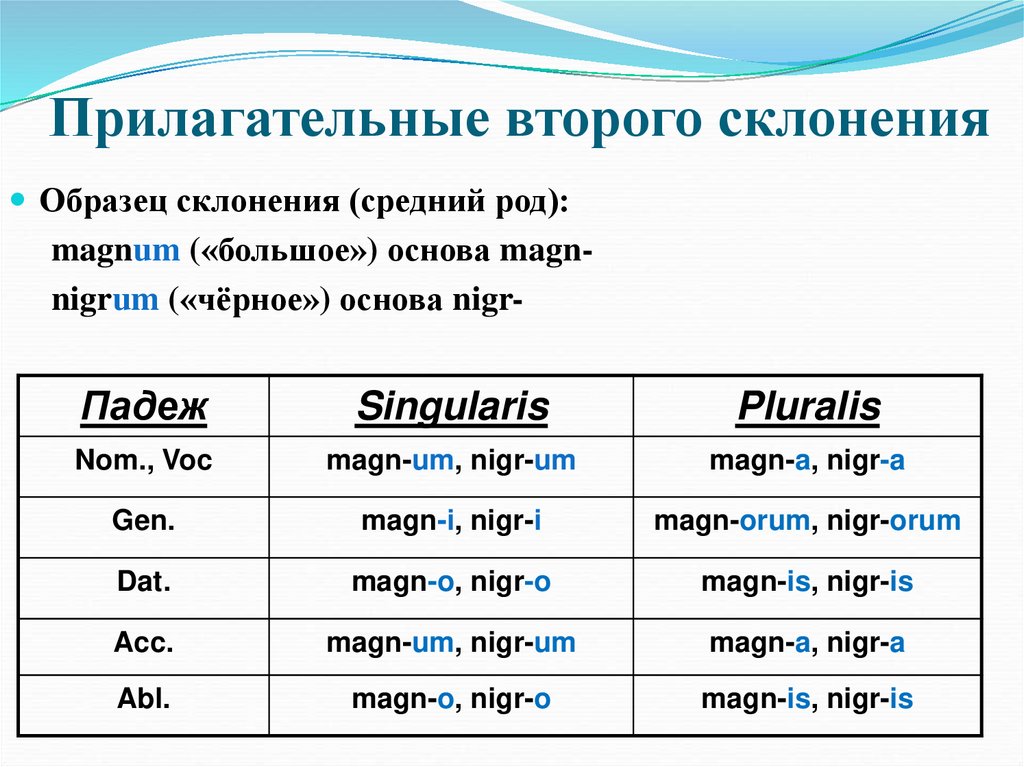 Прилагательные второго склонения